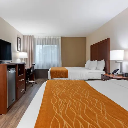 Comfort Inn Binghamton I-81-2