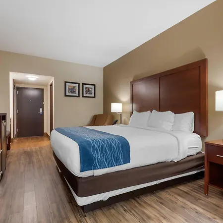 Comfort Inn Binghamton I-81-3
